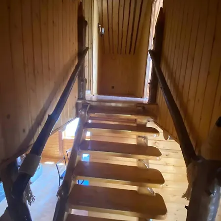 Ferienhaus відпочинок в карпатах *