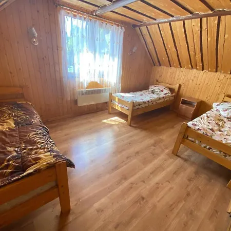 בית נופש відпочинок в карпатах Nizhniy Studenyy