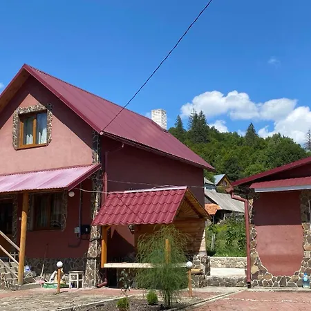 відпочинок в карпатах 펜션