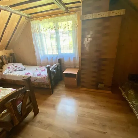 відпочинок в карпатах Nizhniy Studenyy