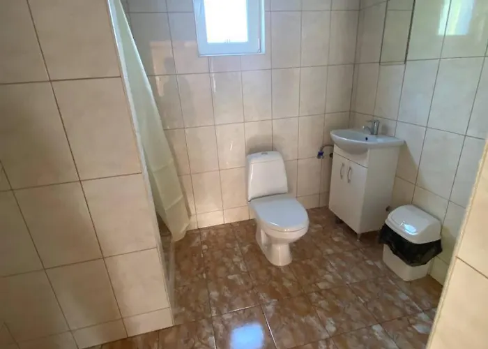відпочинок в карпатах Nizhniy Studenyy