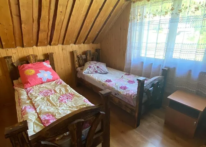 відпочинок в карпатах * Nizhniy Studenyy